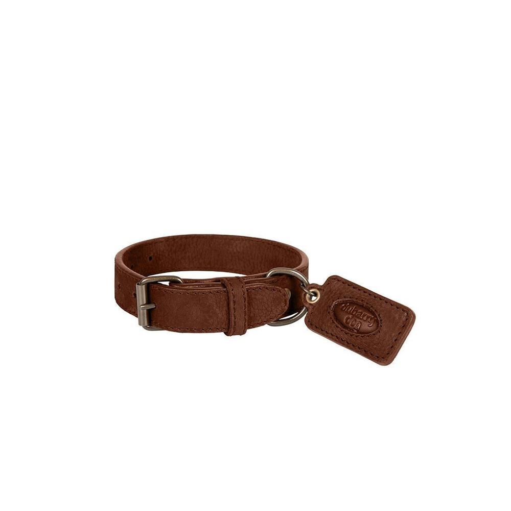 Dubarry of Ireland Dubarry Glenbrook Dog Collar - Large Walnut