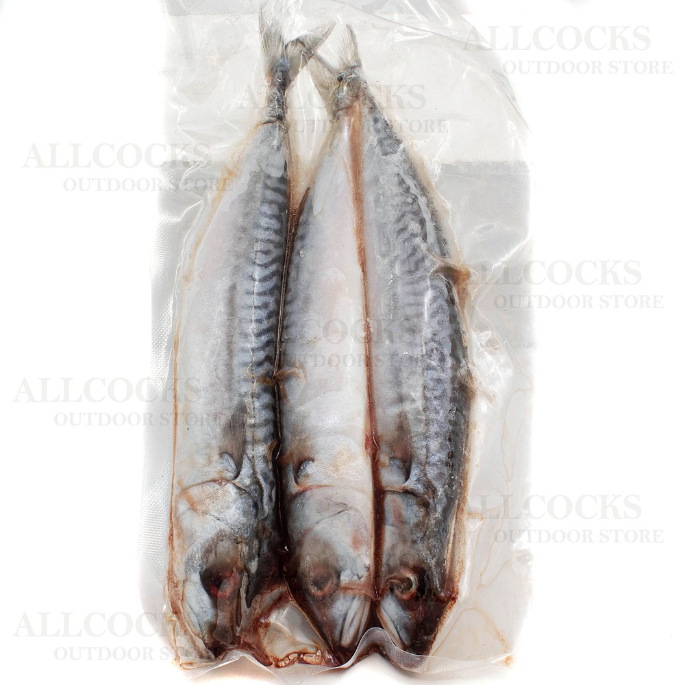 Predator Fishing Bait Allcocks Outdoor Store