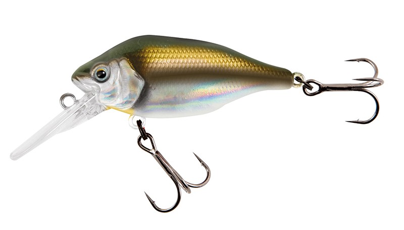 Fox Rage Funk Bug UV Real Shiner