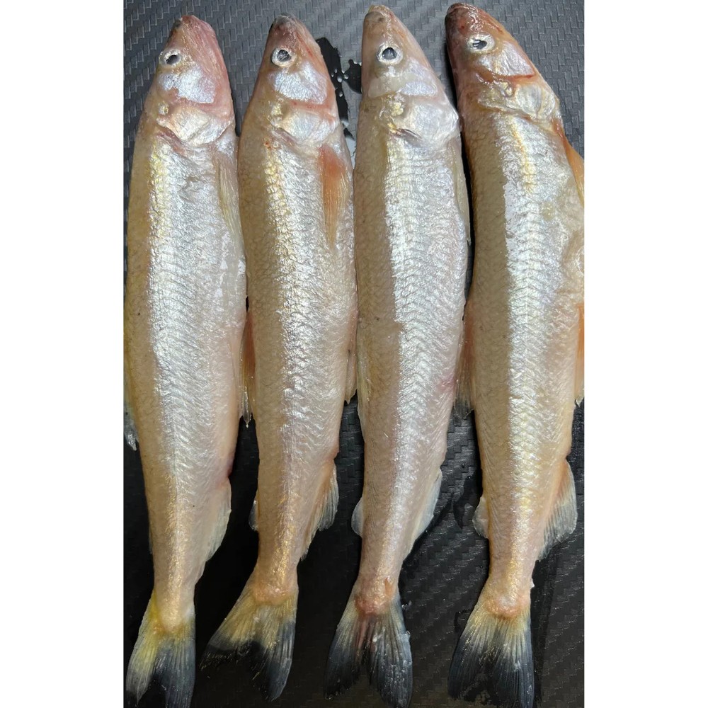 Lucebaits Deadbaits Standard Smelt x4