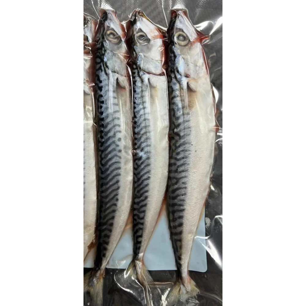 Lucebaits Deadbaits Small Mackerel x3