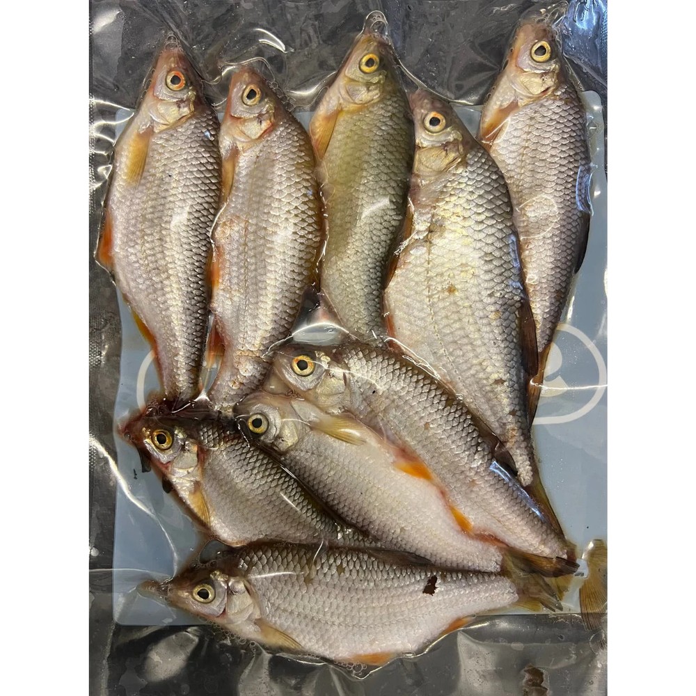 Lucebaits Deadbaits Coarse Fish x10
