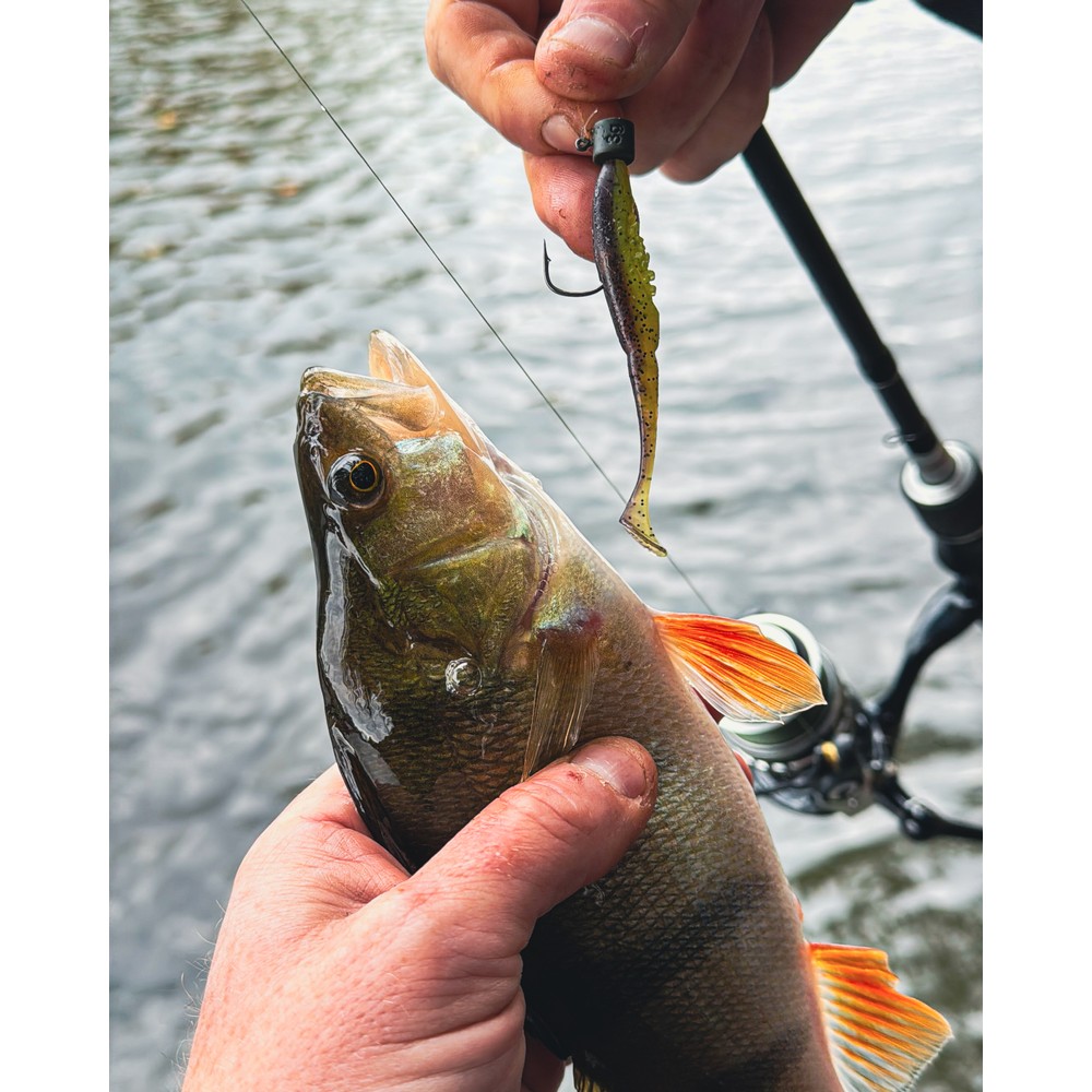 Fox Rage Micro Ned Heads x5 Camo