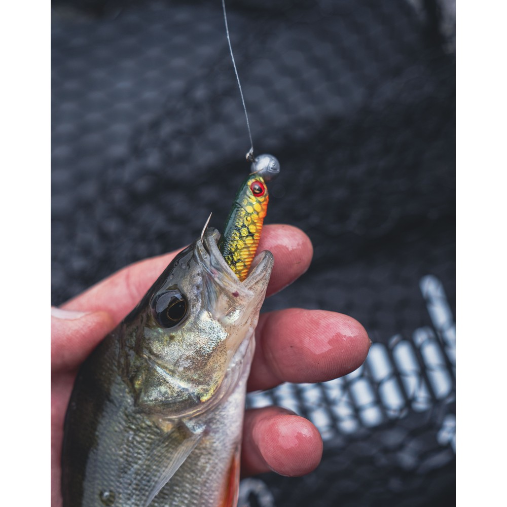 Fox Rage Loaded Mini Tiddler Mixed Colour Pack 