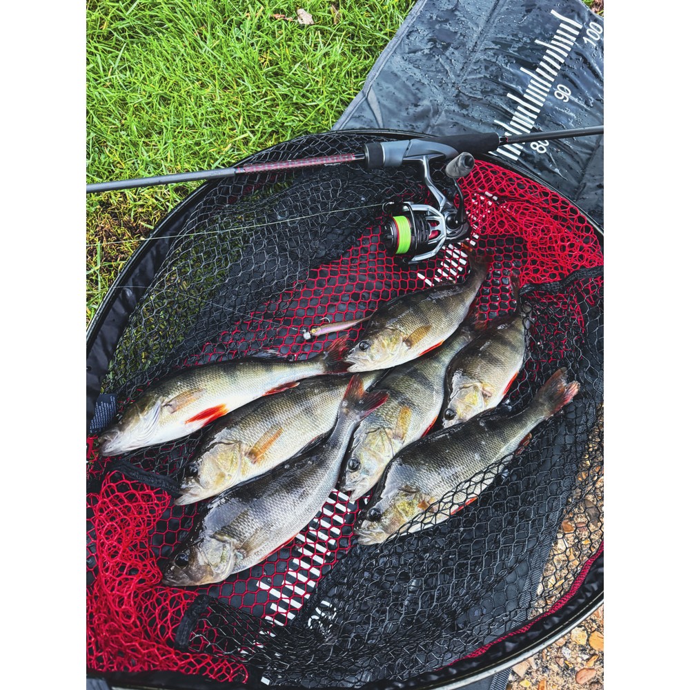 Fox Rage Loaded Mini Tiddler Mixed Colour Pack 