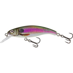 Salmo Salmo Floating Slick Stick Lure in Spot Bait