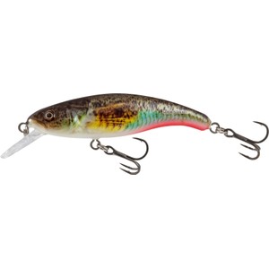 Salmo Salmo Floating Slick Stick Lure in Super Natural Gobie