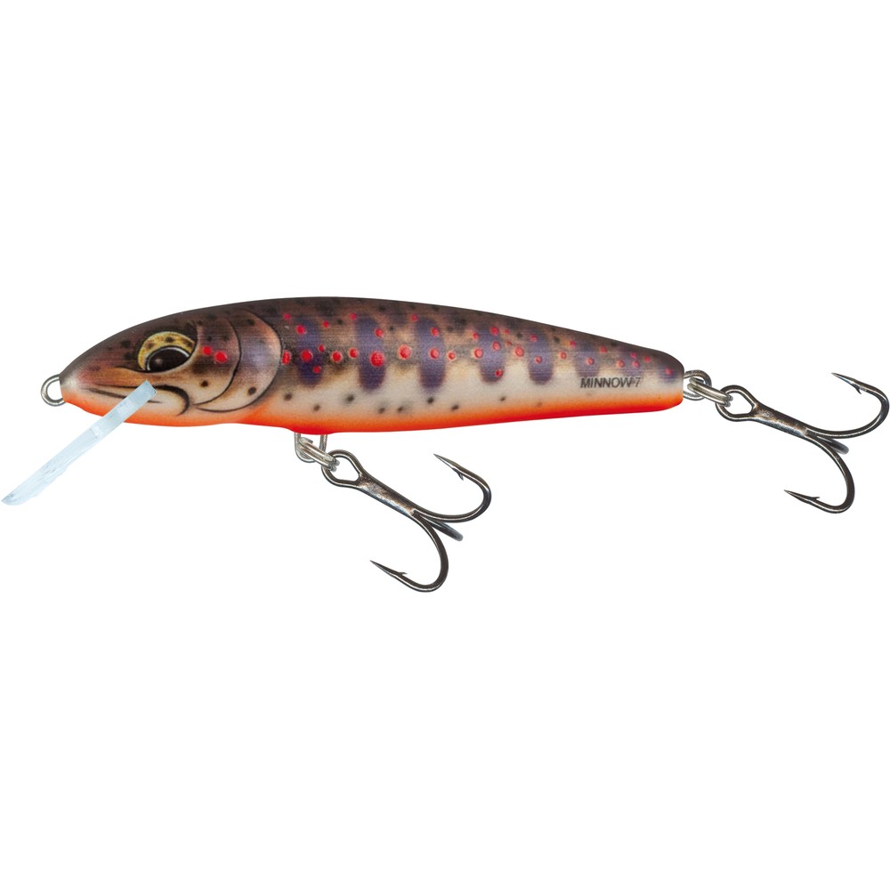 Salmo Floating Minnow Lure