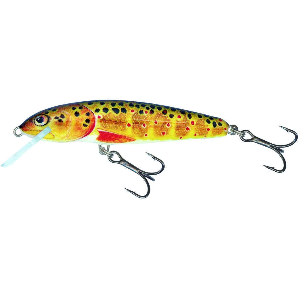 Salmo Floating Minnow Lure
