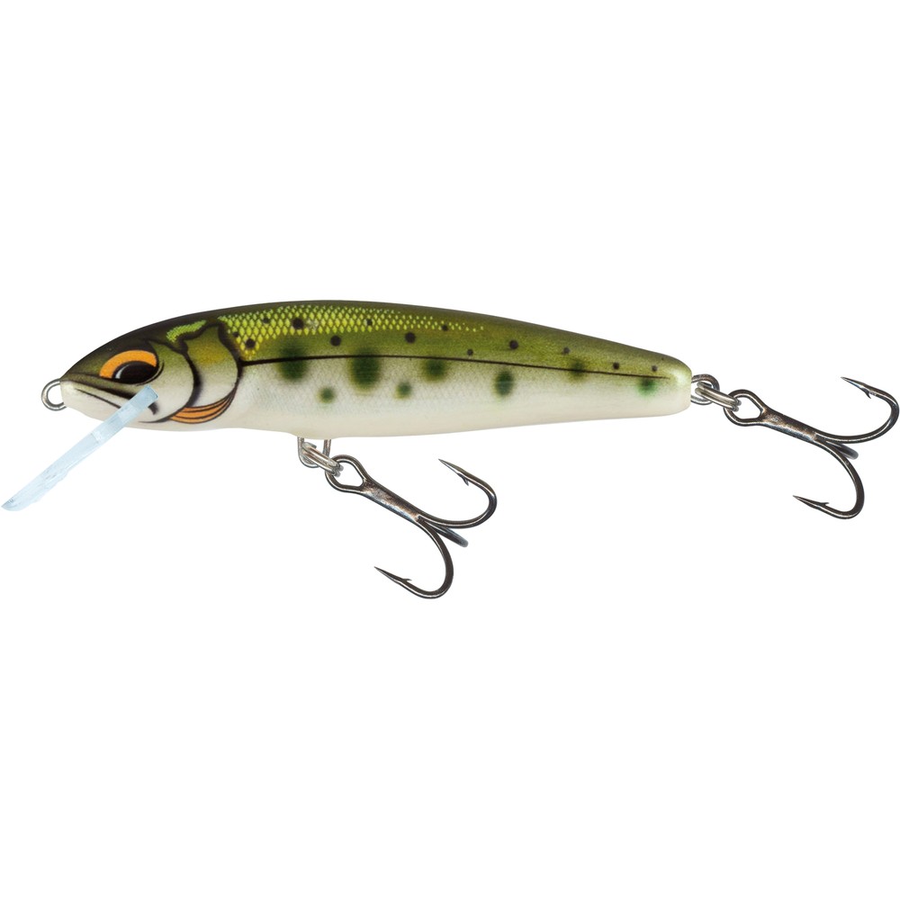 Salmo Floating Minnow Lure