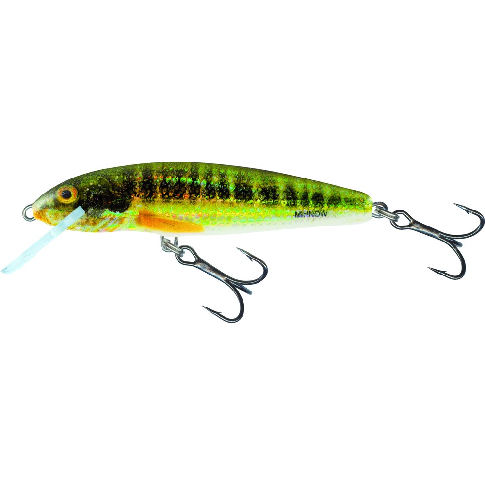 Salmo Sinking Minnow Lure