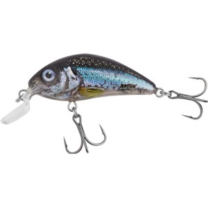 Salmo Salmo Shallow Floating Rattlin' Hornet Lure in Clear Holo Smelt