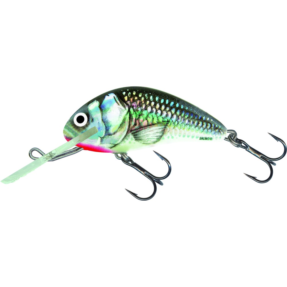Salmo Hornet Sinking Lure