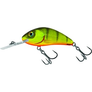 Salmo Salmo Rattlin Hornet Floating Lure in Hot Perch