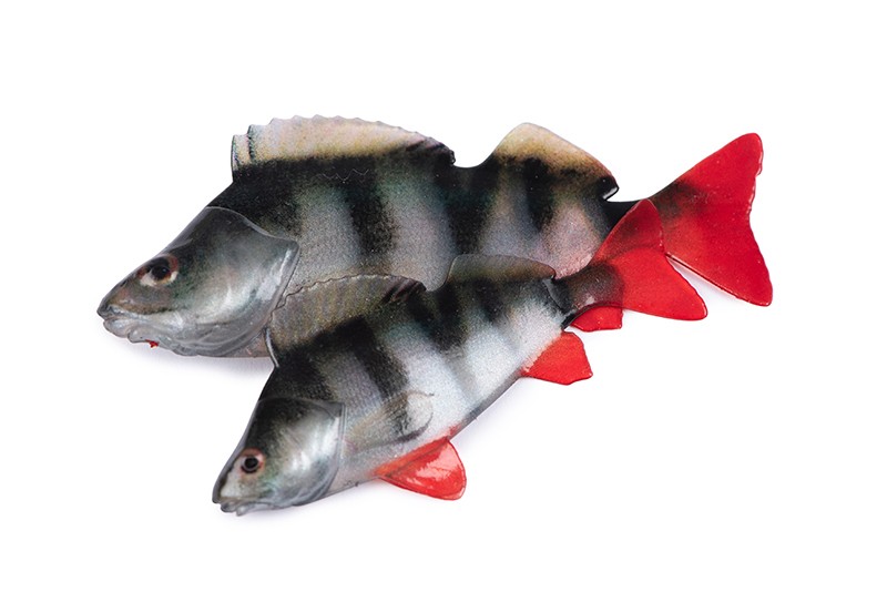 Fox Rage Ultra Natural Roach Fillet Lure