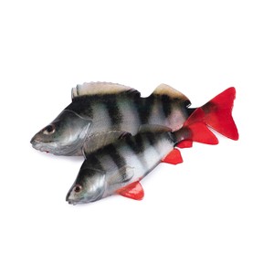 Fox Rage Fox Rage Ultra Natural Roach Fillet Lure in Ultra Natural Perch