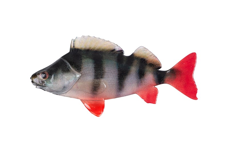 Fox Rage Ultra Natural Roach Fillet Lure Ultra Natural Perch