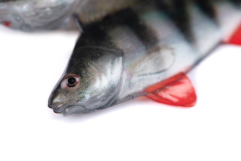 Fox Rage Ultra Natural Roach Fillet Lure Ultra Natural Perch