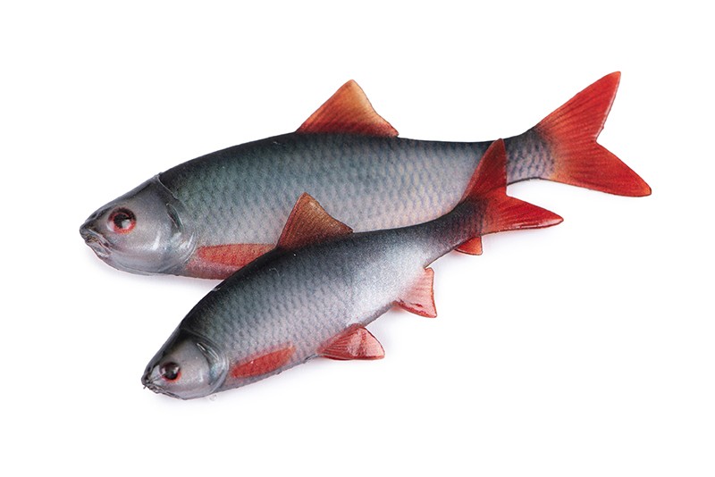 Fox Rage Ultra Natural Roach Fillet Lure