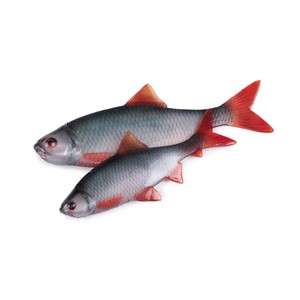 Fox Rage Fox Rage Ultra Natural Roach Fillet Lure in Ultra Natural Roach