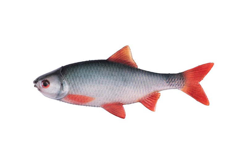 Fox Rage Ultra Natural Roach Fillet Lure Ultra Natural Roach