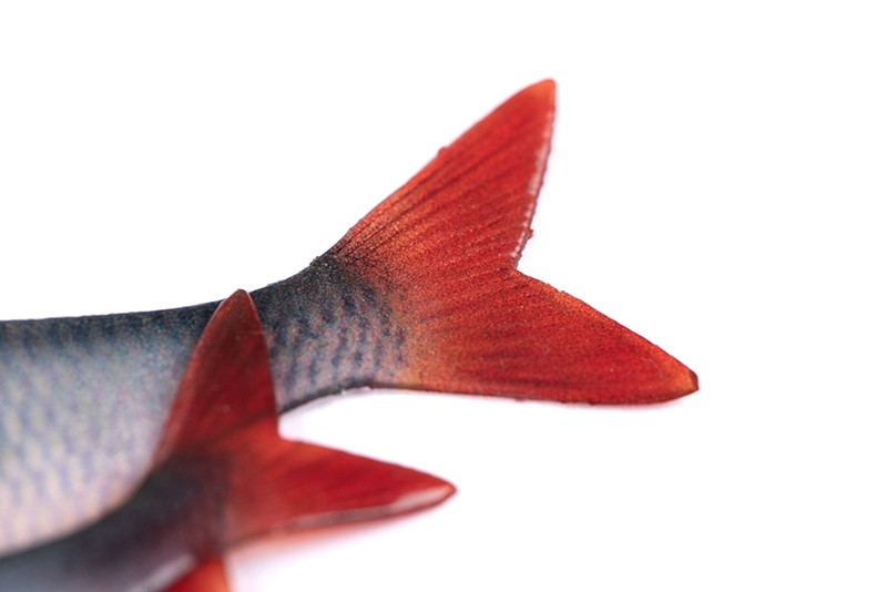 Fox Rage Ultra Natural Roach Fillet Lure Ultra Natural Roach