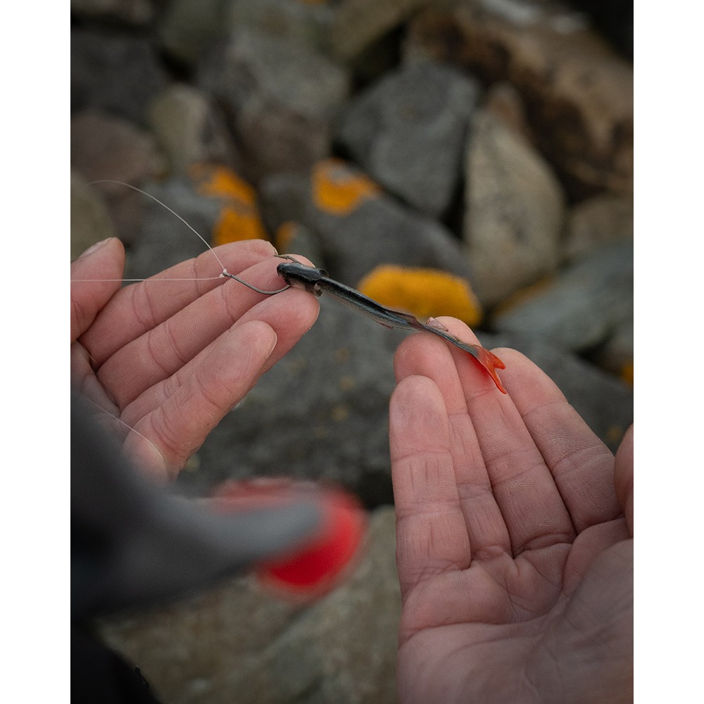 Fox Rage Ultra Natural Roach Fillet Lure Ultra Natural Roach