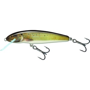 Salmo Salmo Floating Minnow Lure in Grayling