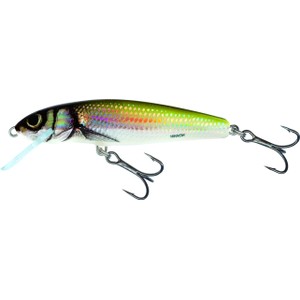 Salmo Salmo Sinking Wave Lure in Holo Bleak