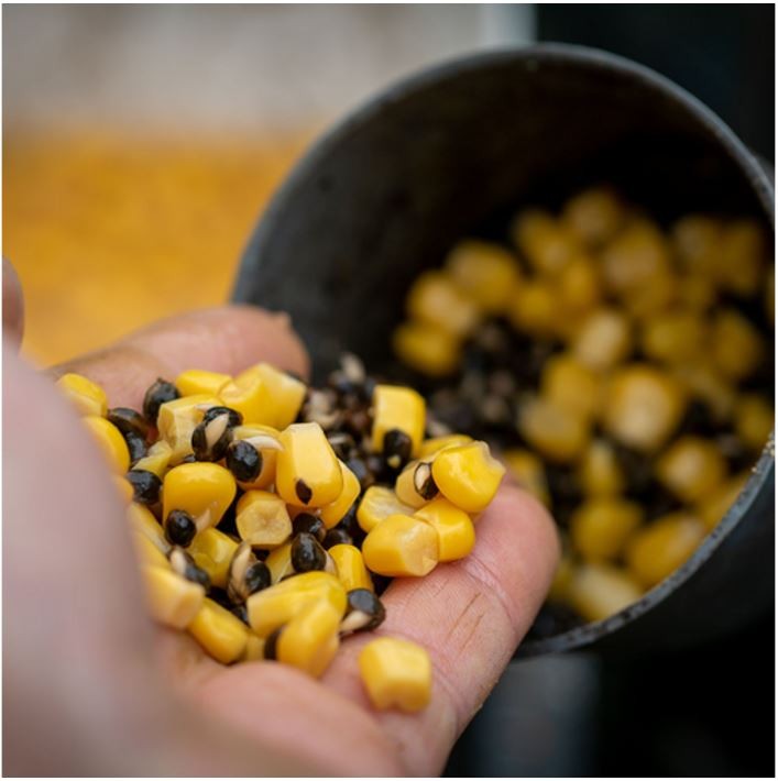 Sonubaits Corn - F1