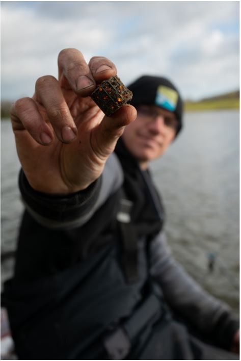 Sonubaits Fluoro Rocks