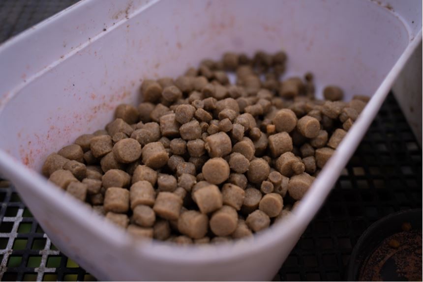 Sonubaits Pro Expander Pellets Brown