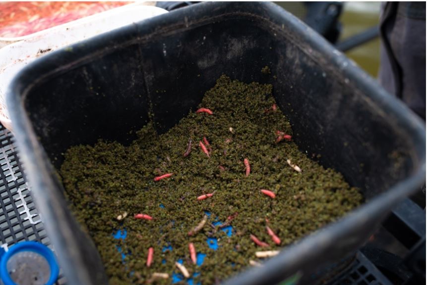 Sonubaits Pro Thatchers Green Groundbait
