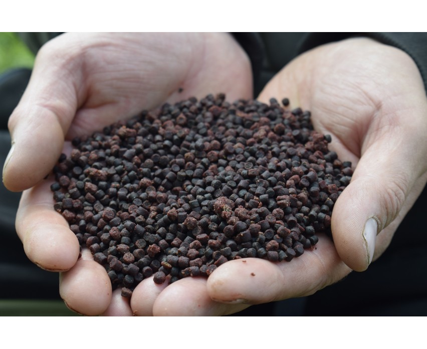 Sonubaits Cheesy Garlic Halibut Pellets - 900g Brown