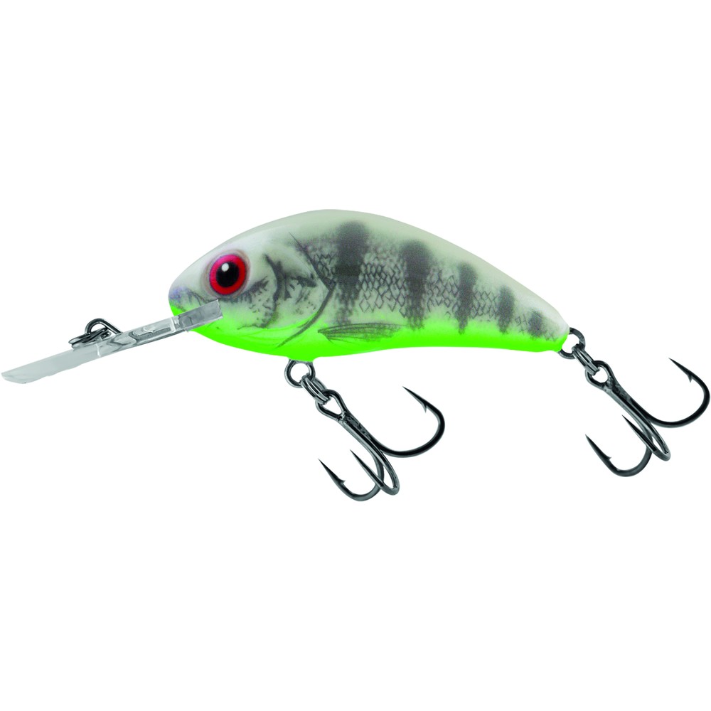 Salmo Hornet Floating Lure