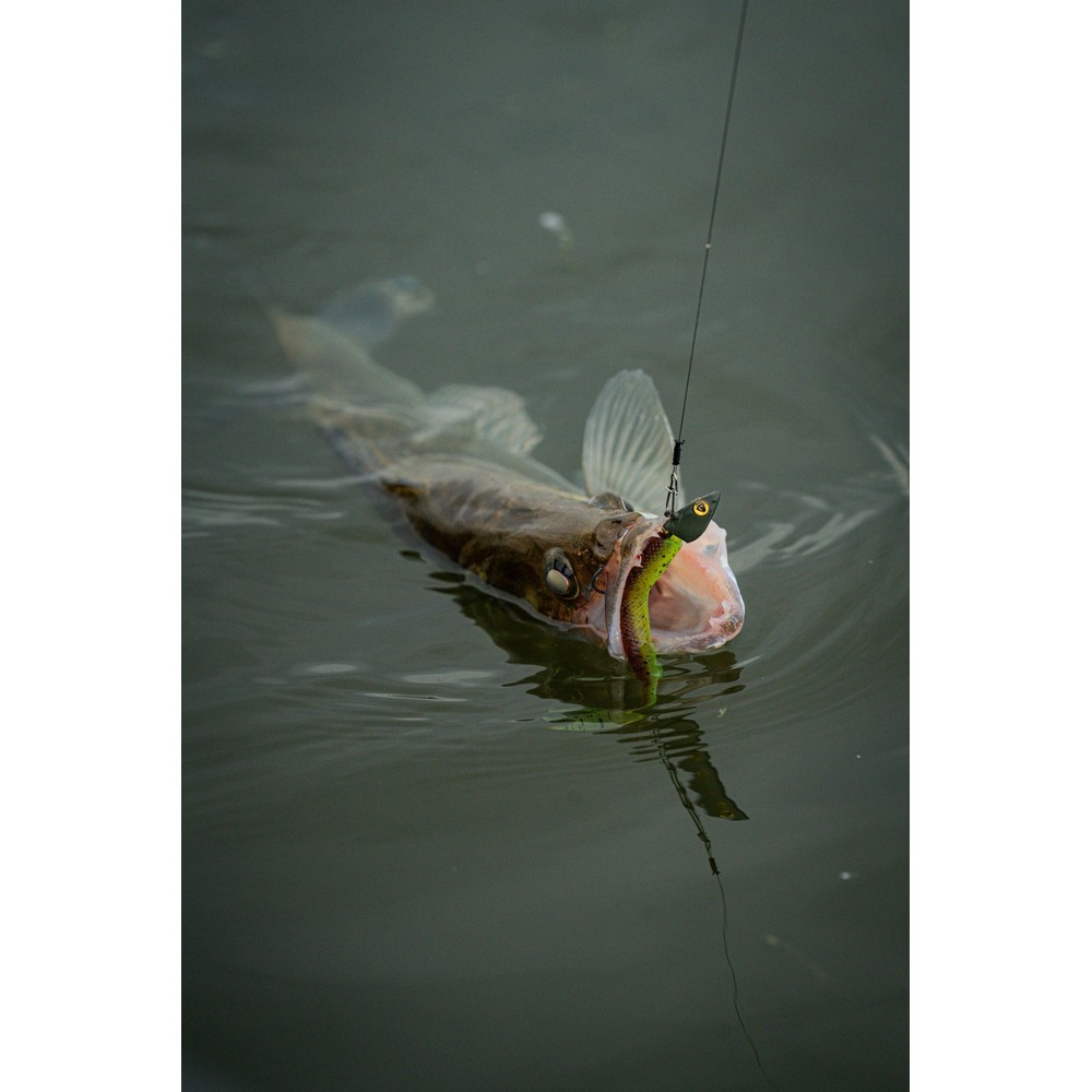 Fox Rage Dart Jig Head Camo