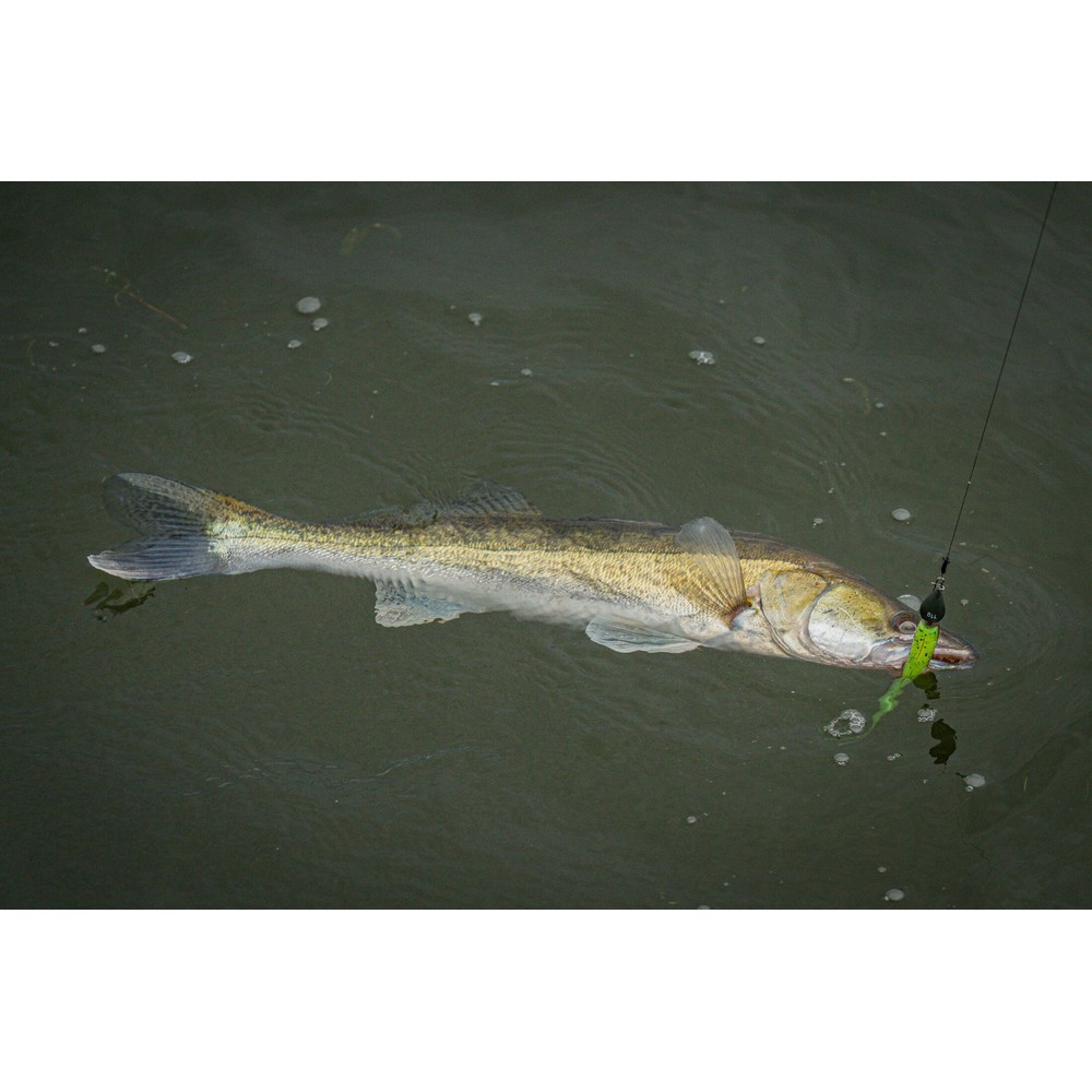 Fox Rage Dart Jig Head Camo