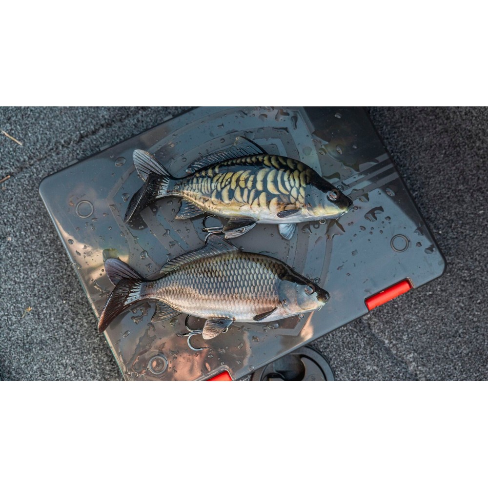 Fox Rage Ultra Realistic Replicant Carp Lure Common Carp